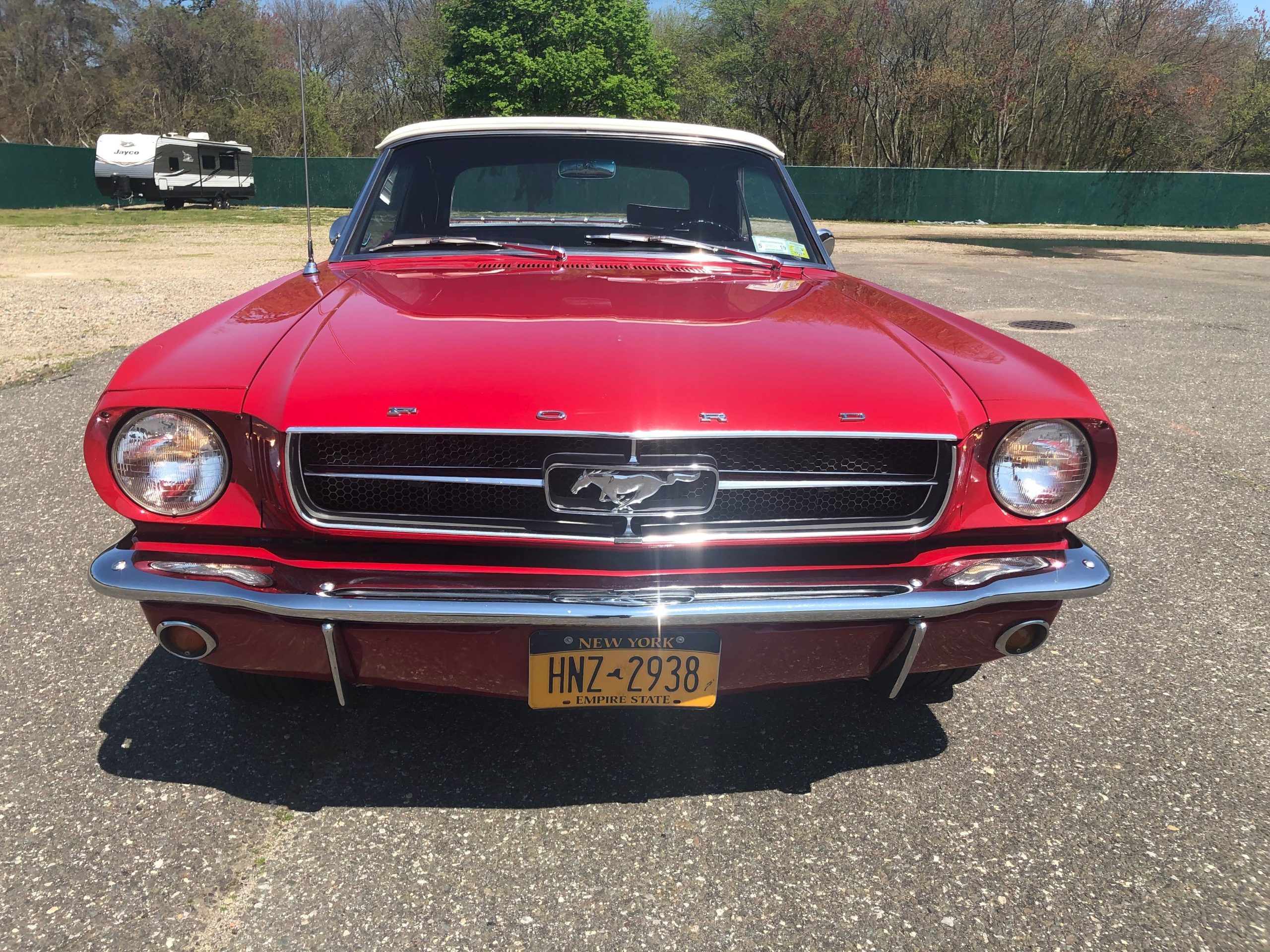 
								Ford Mustang 1966 full									